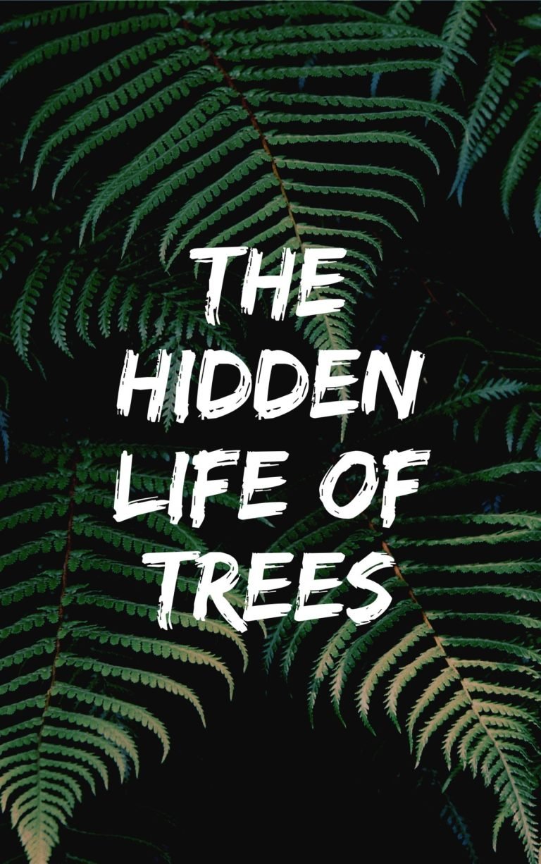 The Hidden Life of Trees