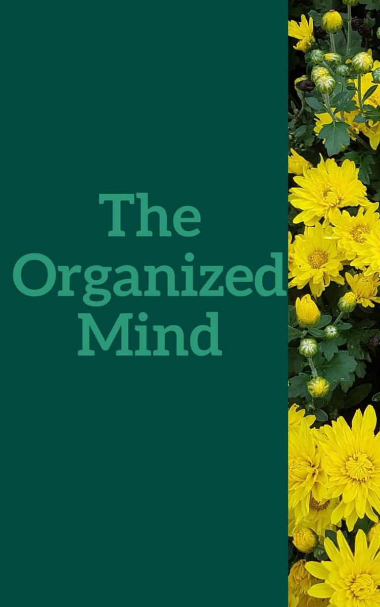 The Organized Mind – Book Summary